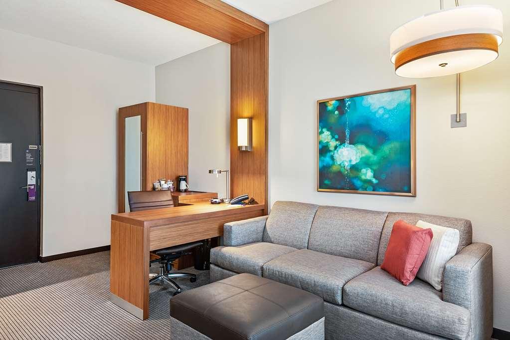 Hyatt Place Tampa/Wesley Chapel Lutz Kamer foto